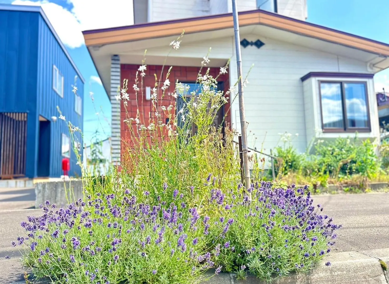 Casa vacanze Station Home Lavender NakaNakafurano Giappone